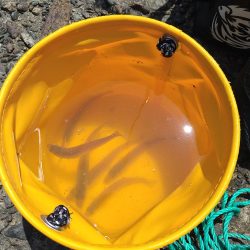 キス狙いでまさかのグレ